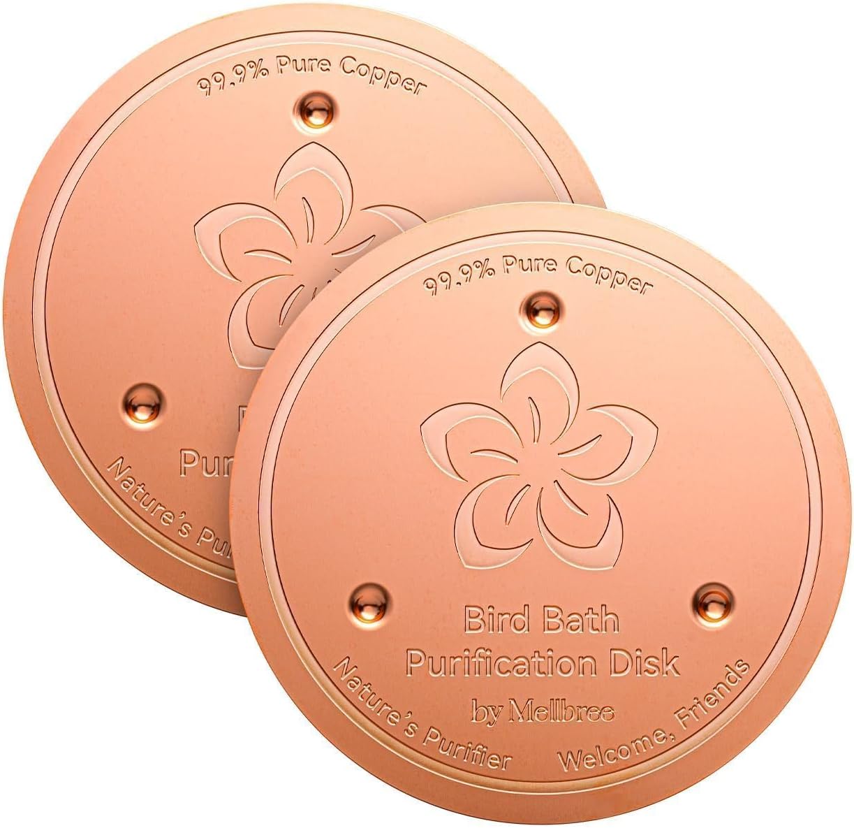 2 Pack Bird Bath Copper Disk