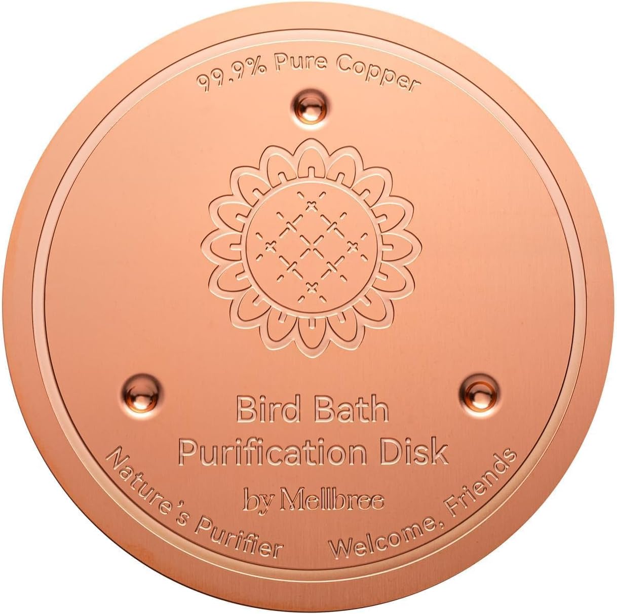 Bird Bath Copper Disk