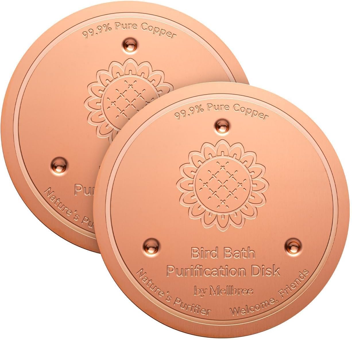 2 Pack Bird Bath Copper Disk