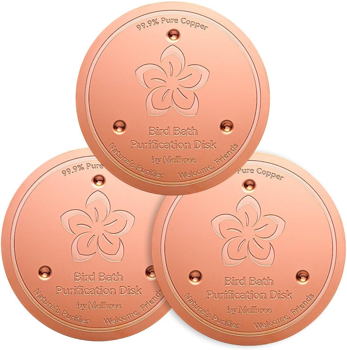 3 Pack Bird Bath Copper Disk