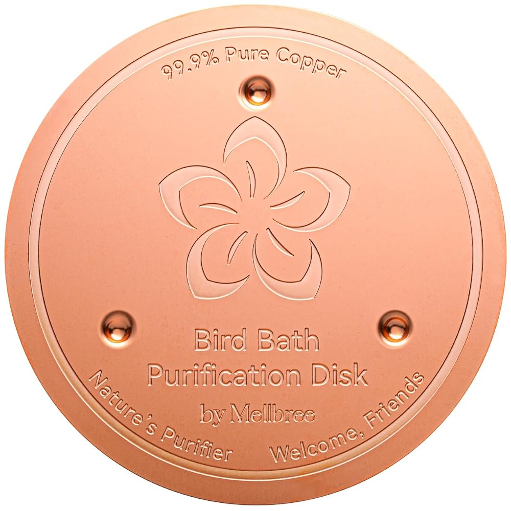 Bird Bath Copper Disk
