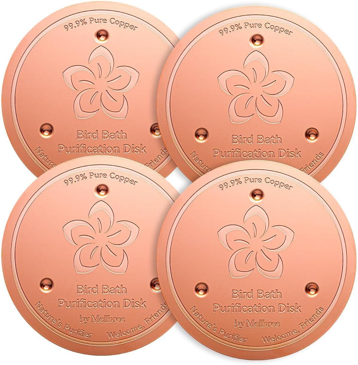 4 Pack Bird Bath Copper Disk