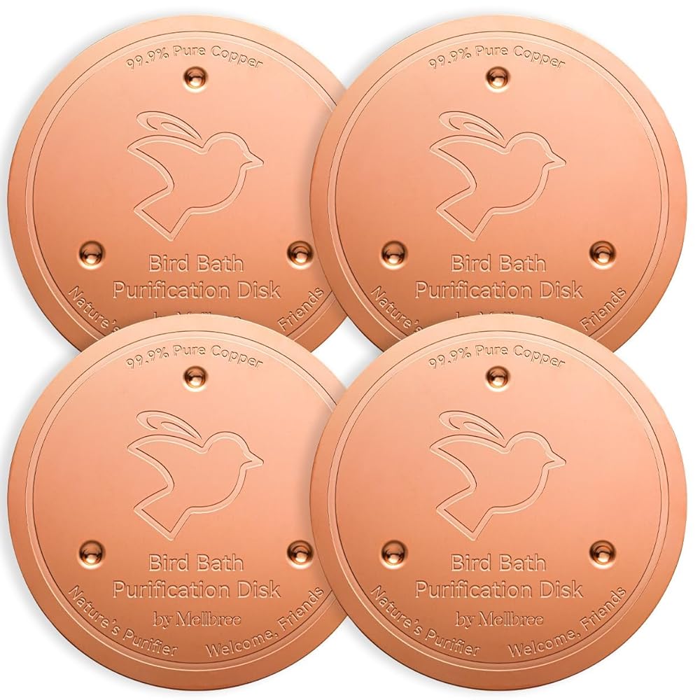 4 Pack Bird Bath Copper Disk