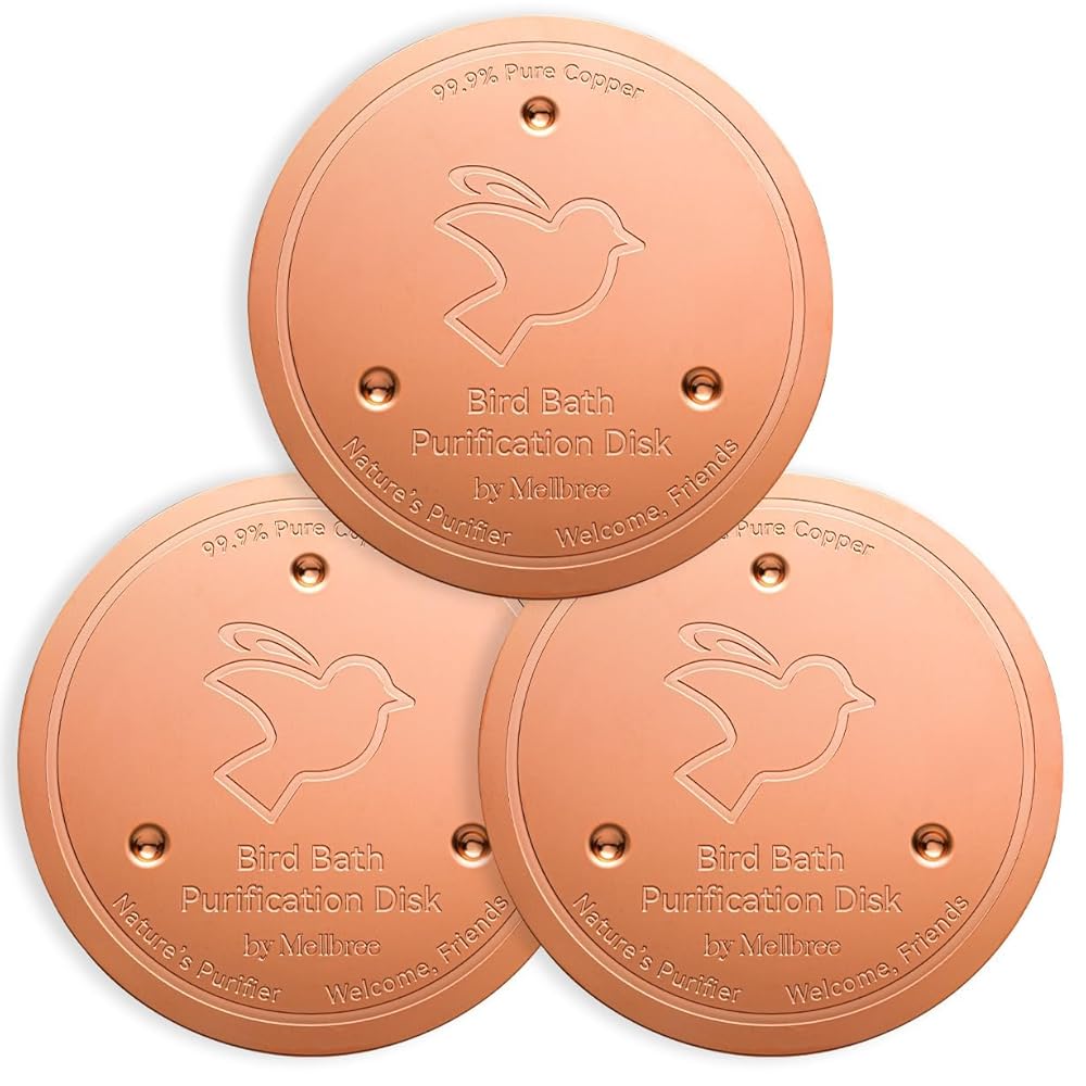 3 Pack Bird Bath Copper Disk